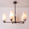 Lampa wisząca 1246 VINCENZA Czarny Elegancki Żyrandol Zuma Line